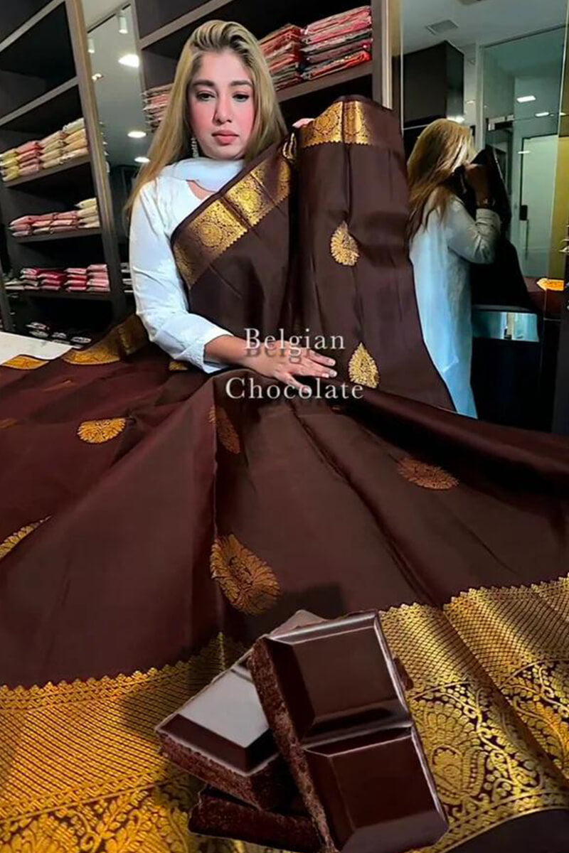 Tantalizing Brown Soft Banarasi Silk Saree With Prominent Blouse Piece